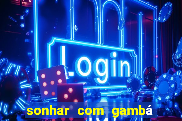 sonhar com gambá jogo do bicho