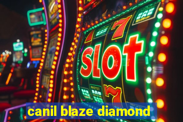 canil blaze diamond