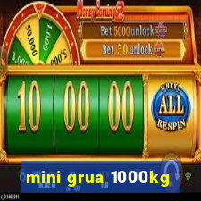 mini grua 1000kg